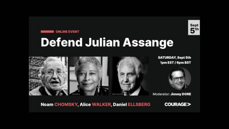 Chomsky, Walker and Ellsberg Defend Julian Assange