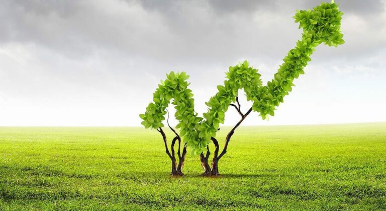 Towards a Green Economy: Green Growth or no Growth? – Robert Pollin on RAI (5/8)