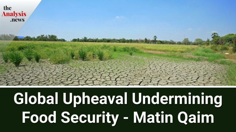 Global Upheaval Undermining Food Security – Matin Qaim